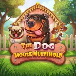 The Dog House Multihold game at Mega Medusa for Australia players The Dog House Multihold game at Mega Medusa for Australia players